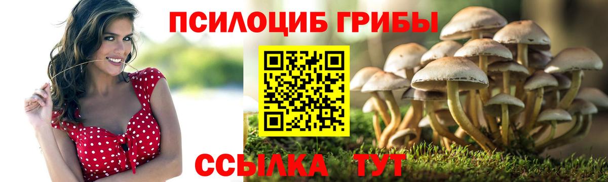 Гагарин  Галлюциногенные грибы мицелий  Псилоцибиновые грибы GOLDEN TEACHER  Вход с VPN 
